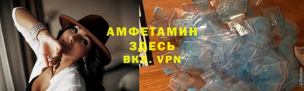 прущие крисы Вяземский