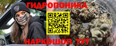 бошки Дубна