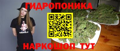 ешки Донецк