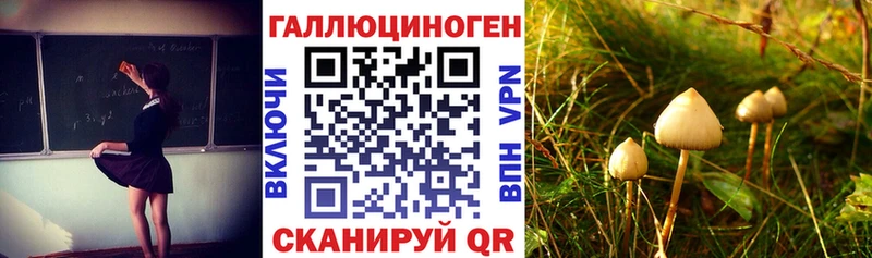 Галлюциногенные грибы ЛСД  Надым 