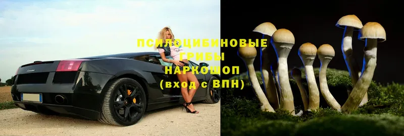 Псилоцибиновые грибы Magic Shrooms Надым