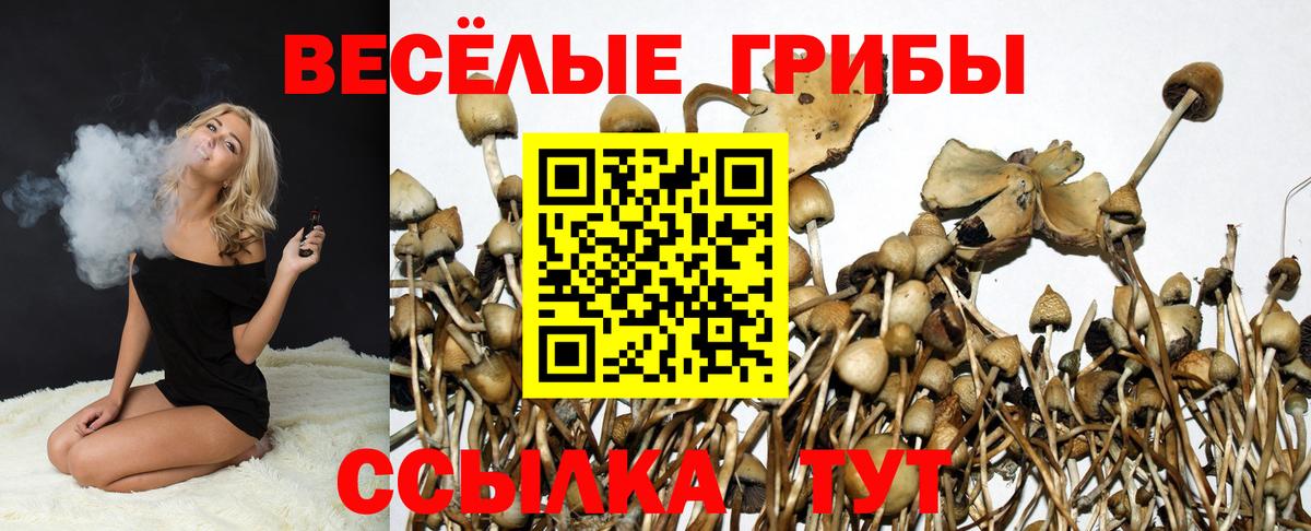 Псилоцибиновые грибы прущие грибы  Вход с VPN  Надым 