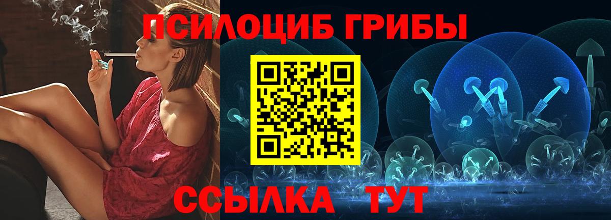 Галлюциногенные грибы Psilocybine cubensis Надым