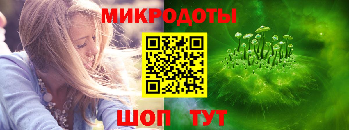 Галлюциногенные грибы Psilocybe  продажа наркотиков  Надым 